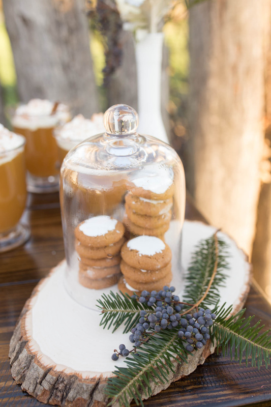 wedding cookie display, winter winter dessert table, ginger snaps for wedding, blacksburg wedding, smithfield plantation